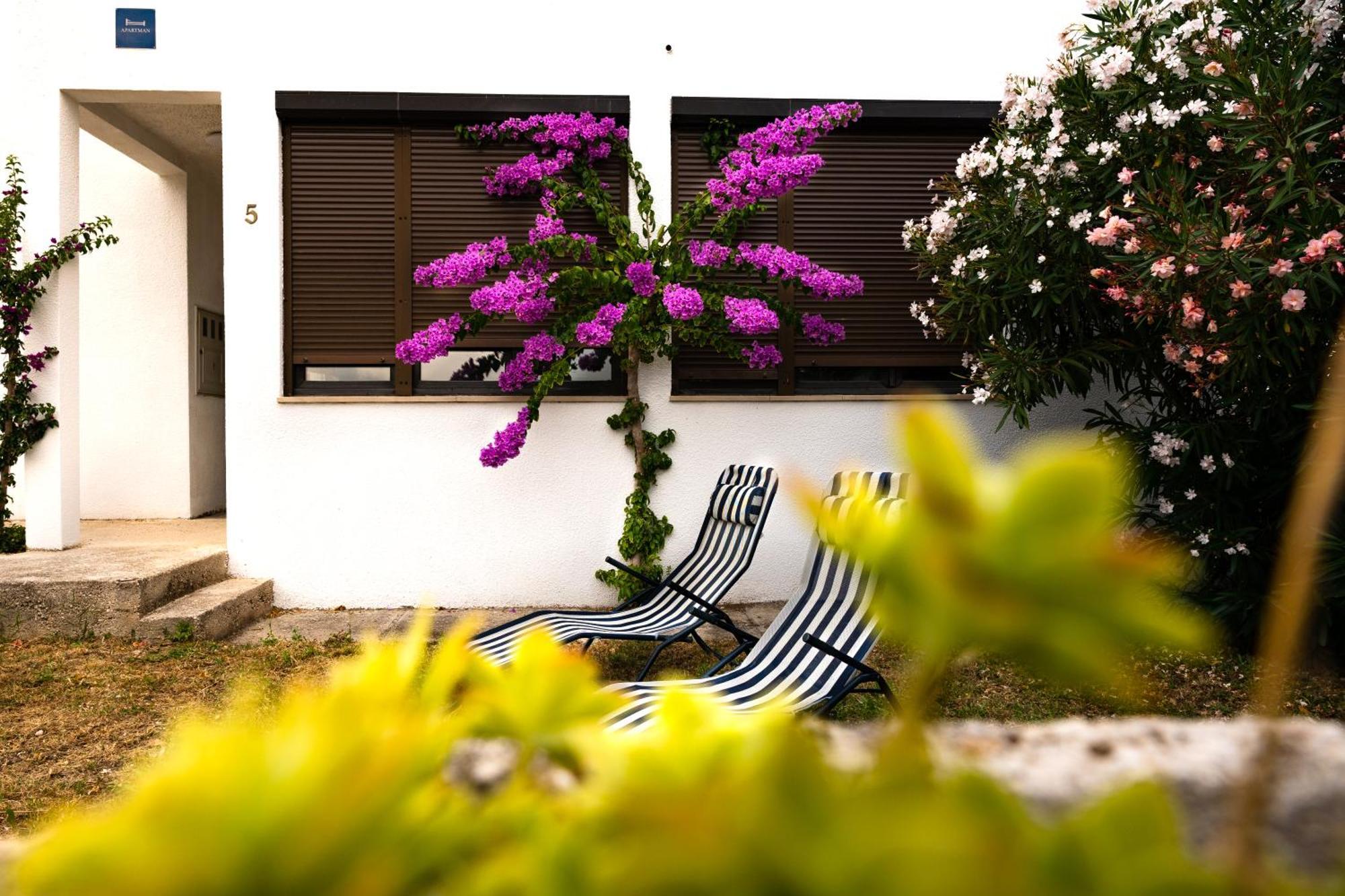 Apartments Dida Sime Starigrad Paklenica Exterior photo